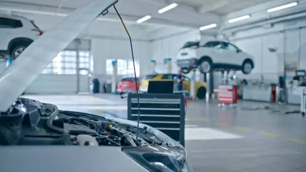 Essential Tips for Maintaining Your Vehicle's Health